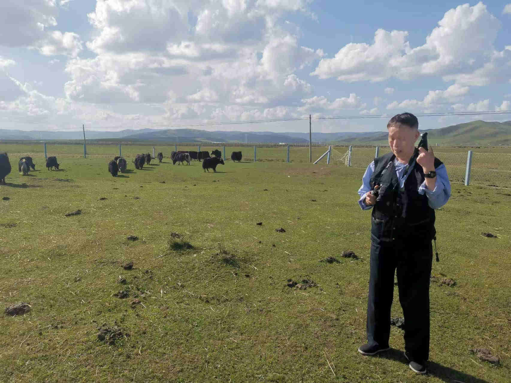 牦牛產(chǎn)業(yè)化開發(fā)  是打開中 國藏區(qū)經(jīng)濟(jì)發(fā)展寶庫的金鑰匙  （中 國藏民安定的重要舉措）